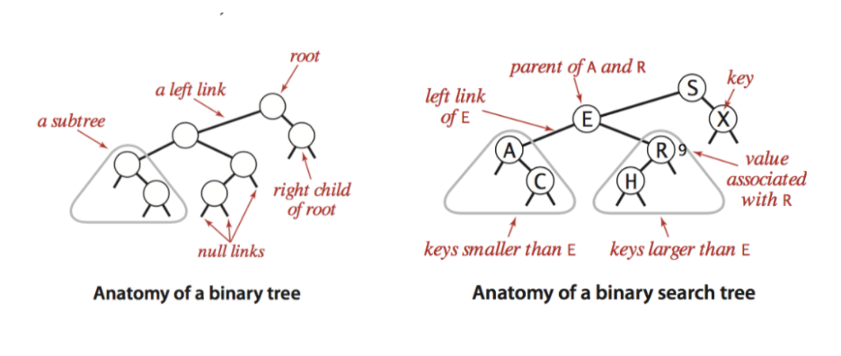 Binary Tree